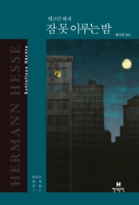 잠 못 이루는 밤 (헤르만헤세선집 12)